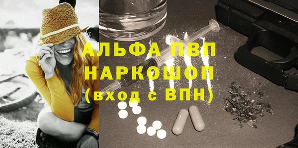 прущие грибы Аркадак