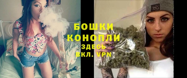 прущие грибы Аркадак