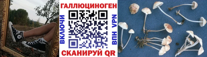 Галлюциногенные грибы прущие грибы  Бабаево 